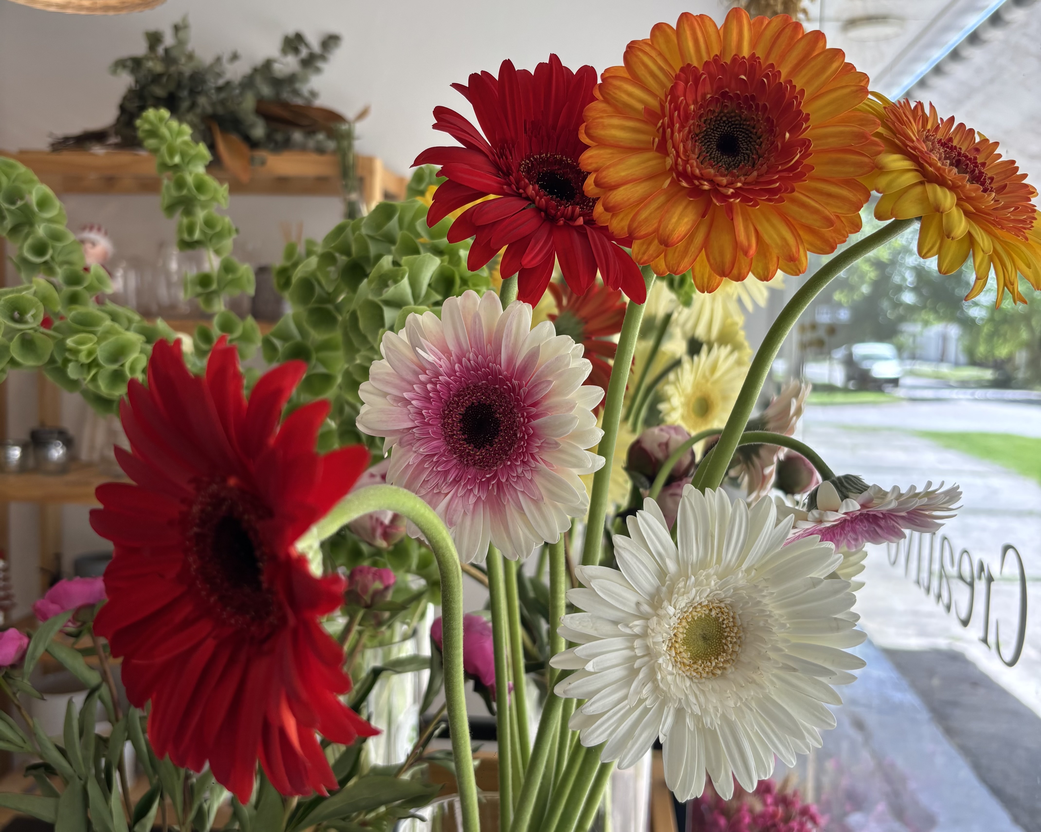 gerberas rojas, blancas, naranjas y rosas dentro del local
